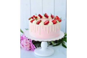 Cake Premix Strawberry - 4000g