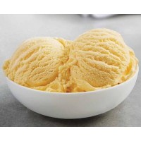 Ice Cream Premix French Vanilla - 4000G