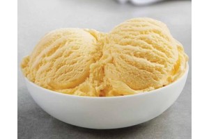 Ice Cream Premix French Vanilla - 4000G