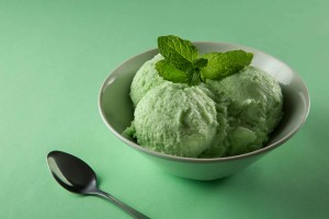 Ice Cream Premix Mint - 4000G