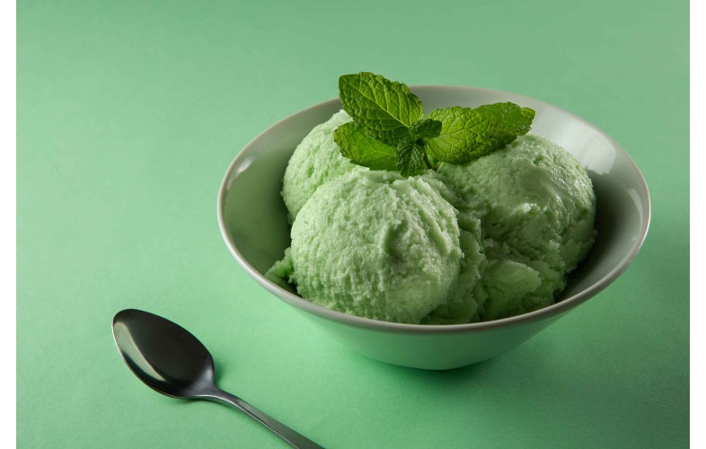 Ice Cream Premix Mint - 4000G