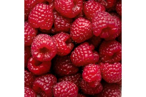 Thickshake Premix Raspberry - 4000G