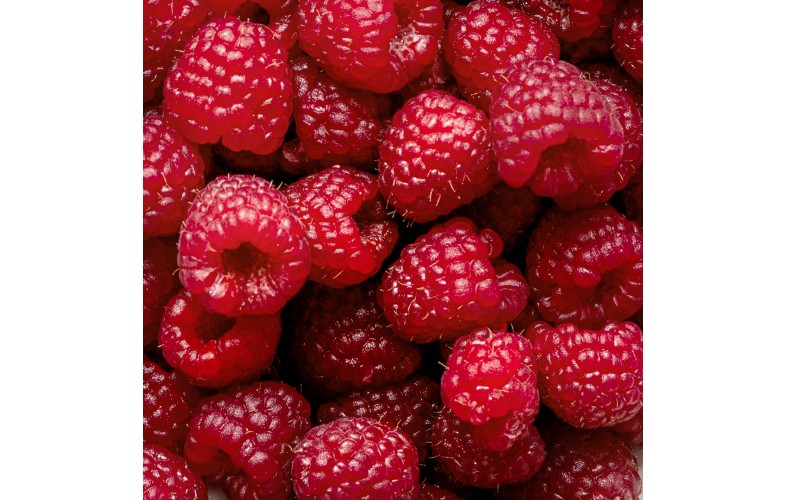 Thickshake Premix Raspberry - 4000G